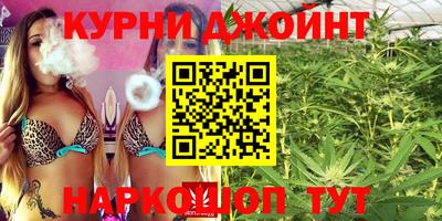 гашик Новозыбков