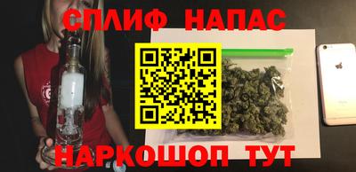 гашик Новозыбков