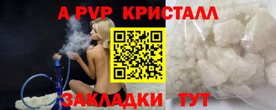 гашик Новозыбков