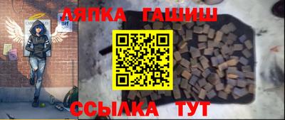 гашик Новозыбков