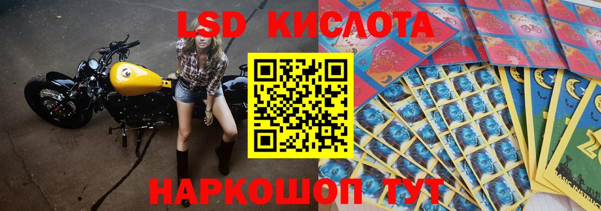 Сегежа  Лсд 25 экстази  Вход с VPN  Лсд 25 экстази кислота 