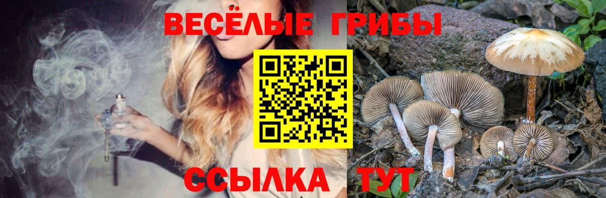 Галлюциногенные грибы прущие грибы  Вход с VPN  купить закладку  Сегежа 